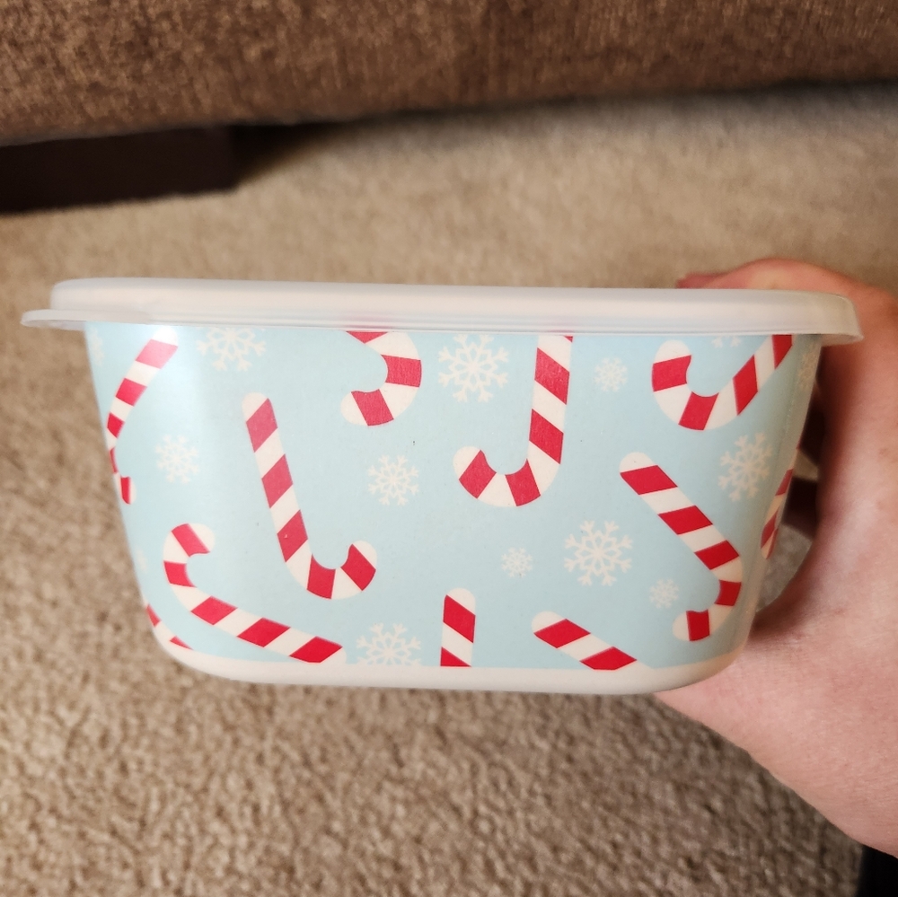 Christmas Bamboo Food Storage Container Candy Canes NWT 22oz